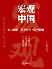 宏观中国